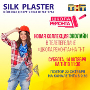 Silk Plaster      14 